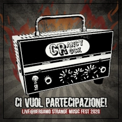 Ci vuol partecipazione front cover
